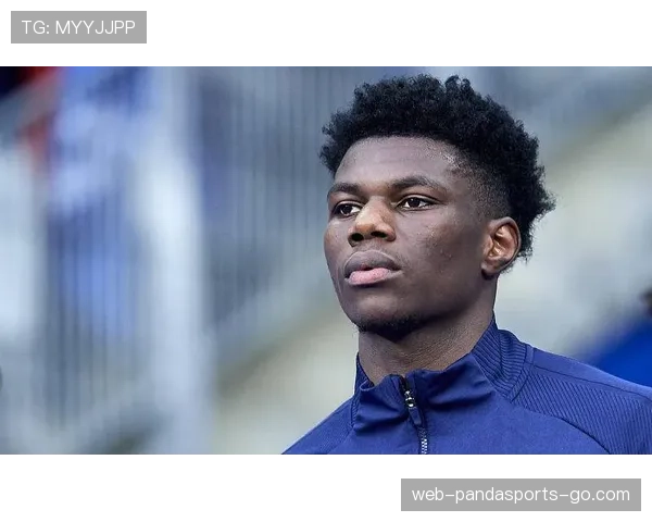 琼阿梅尼未来能否成为核心 适配性与成长潜力分析