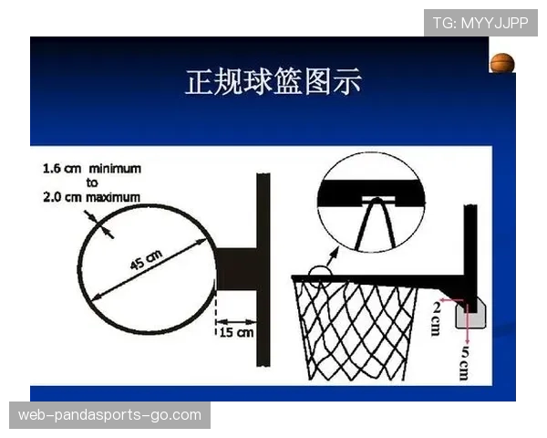篮球规则解析：恶意犯规的具体认定标准与裁判判罚依据说明